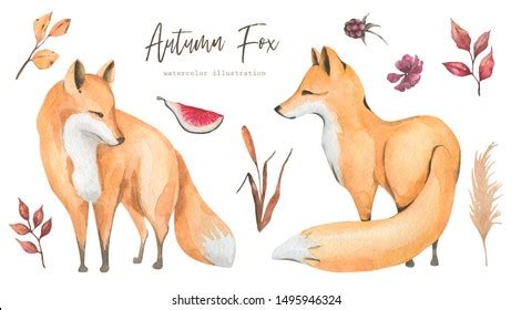 Autumn Fox Set Hand Painted Watercolor Shutterstock