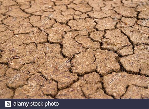 Texture Of Dry And Dehydrated Soil Cracks Stock Photo Alamy