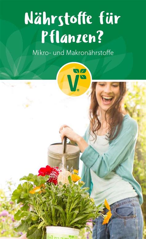 Nährstoffe für Pflanzen Mikro und Makronährstoffe Pflanzen Garten