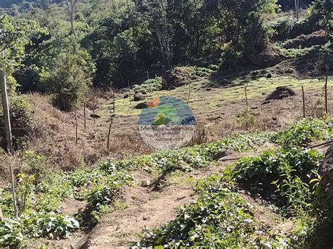 Vendo S O Pedro Sitio Linda Vista Tem Metros Legalizado