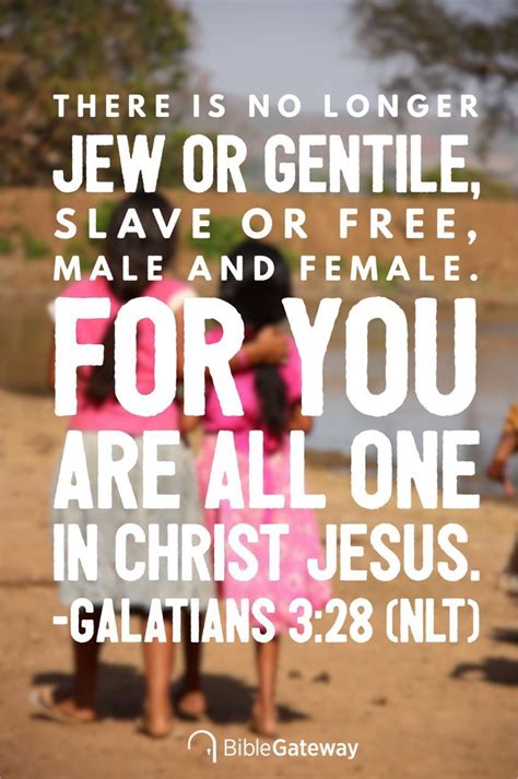 Galatians 3:28 | Galatians 3 28, Galatians, Daily bible verse