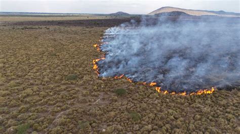 Veja Imagens Dos Inc Ndios No Pantanal