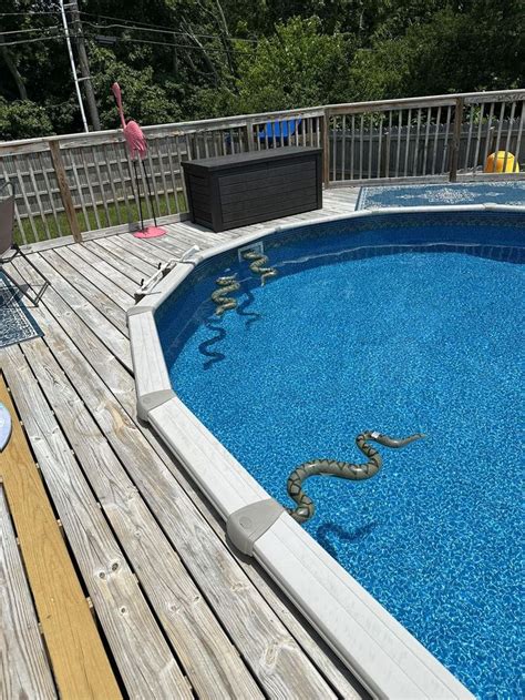 Above Ground Swimming Pools Group | So it’s worth a shot