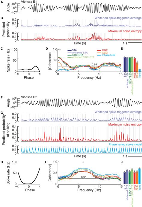 Analysis Of Neuronal Spike Trains Deconstructed Neuron