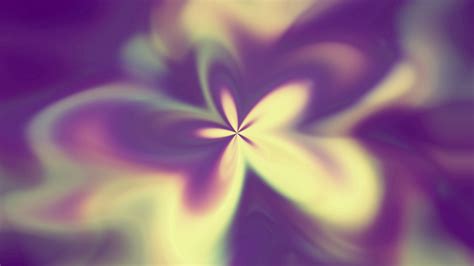 Wallpaper bunch, flower, background, light hd, picture, image