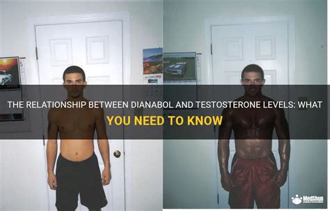 The Relationship Between Dianabol And Testosterone Levels What You