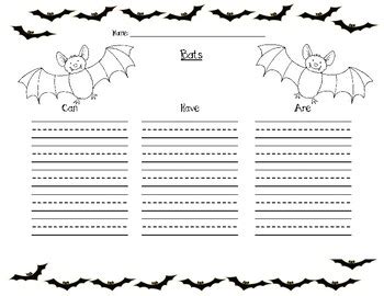 Bat Graphic Organizer By Kindersome Marlo Morelli Tpt