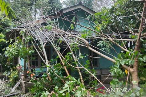 Bpbd Angin Kencang Picu Pohon Tumbang Timpa Rumah Warga Di Bintan