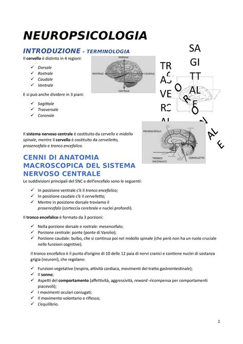 Neuropsicologia Esame Neuropsicologia Introduzione Terminologia