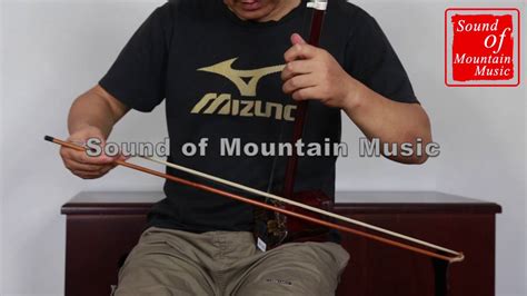 Professional Level Erhu Instrument Chinese Voilin Fiddle With