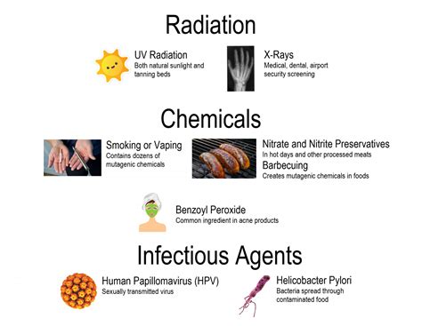 Beneficial Mutations In Humans