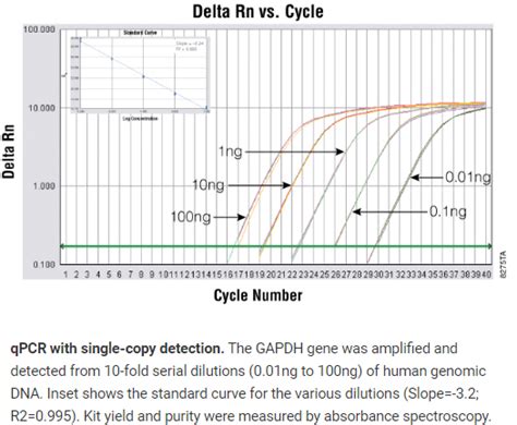 Promega Gotaq Qpcr