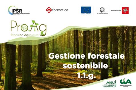 Seminari Sulla Gestione Forestale Sostenibile Prossimo Appuntamento A