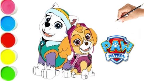 How To Draw Paw Patrol Paw Patrol Drawing Everest And Skye Paw