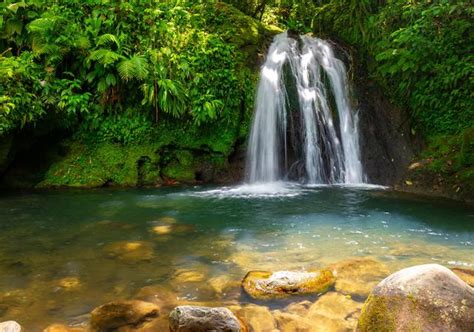 Excursion Dans Le Nord De La Basse Terre Au D Part De Saint Fran Ois