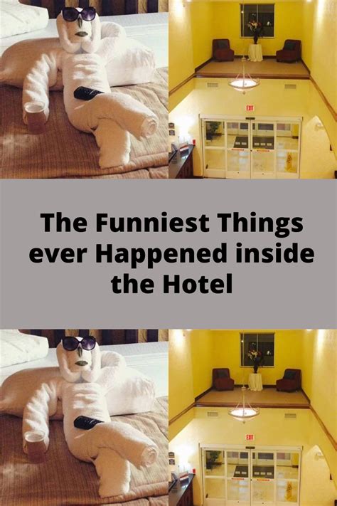 The funniest things ever happened inside the hotel – Artofit
