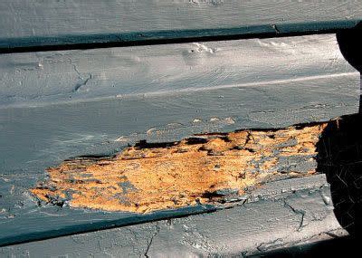 How To Fix Wood Rot