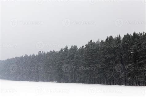 winter landscape, forest 9772985 Stock Photo at Vecteezy