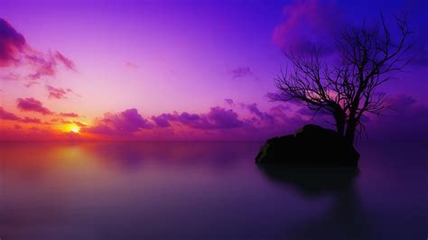 Purple Sunset Wallpaper - WallpaperSafari