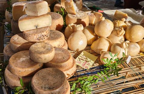 Casu Marzu Formaggio Sardo Con Vermi Fotografia Stock Immagine Di