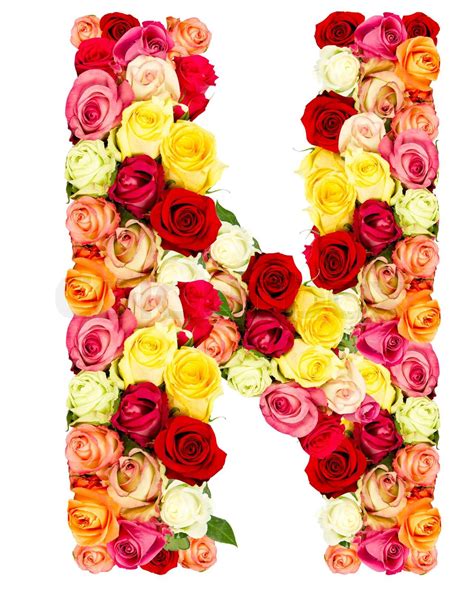 N Roses Flower Alphabet Isolated On White Stock Image Colourbox