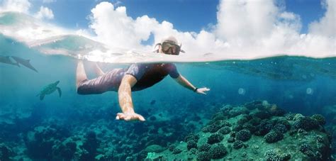 Best Turtle Snorkeling Locations in Hawaii - HomeyHawaii