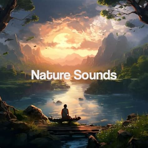 Amazon MusicでSleep Sounds of Nature YOGAのNature Soundsを再生する