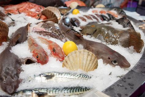 Wide Selection Of Fish On Market Display Stock Photo Image Of Snapper