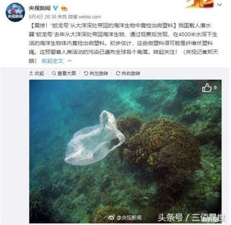 「蛟龍號」大洋深處採集海洋生物樣品含微塑料 每日頭條