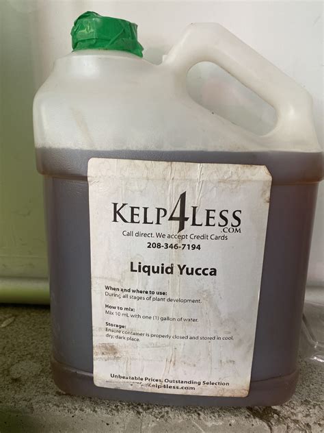 Yucca Extract For Lawns: Everything You Need To Know - Lawn Phix