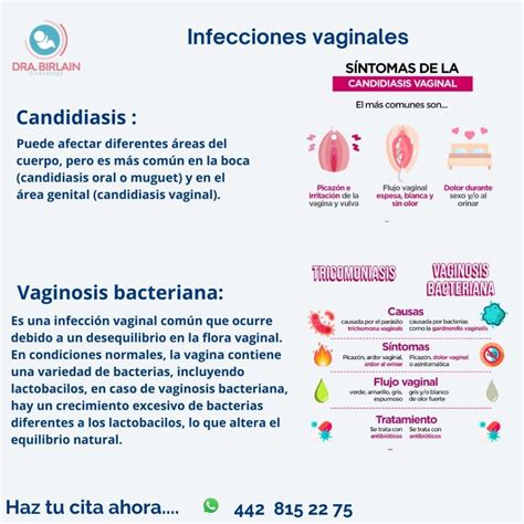 Las Infecciones Vaginales Dra Birlain