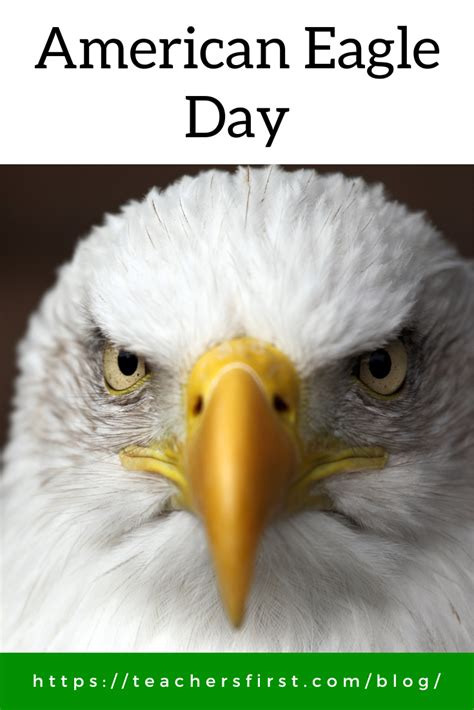 National American Eagle Day 2024 Netta Adelheid