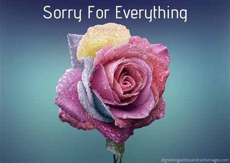 15+ I Am Sorry Images And Pics - Greeting Wishes And Cards Images