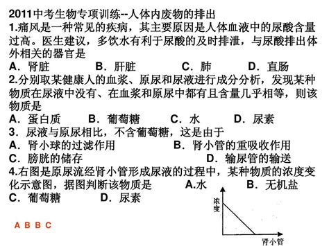 人体内废物的排出word文档在线阅读与下载无忧文档