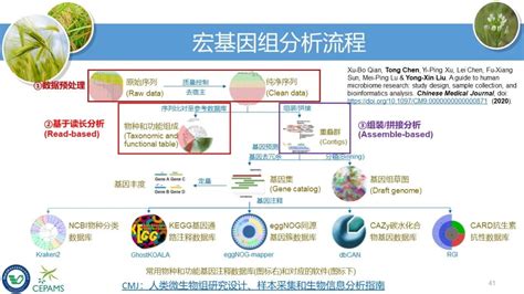 扩增子和宏基因组数据分析流程和可视化方案—刘永鑫 南京，2020年11月27日） Csdn博客