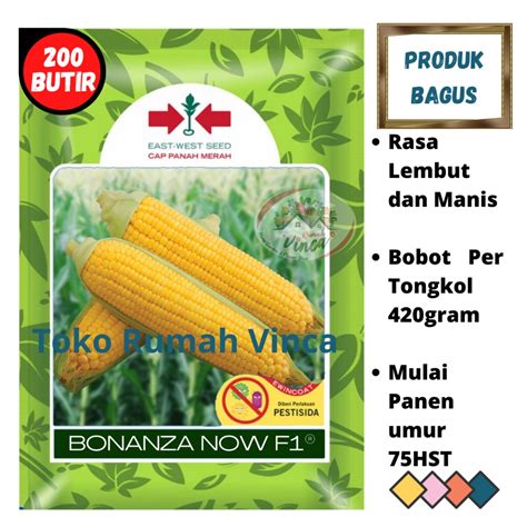 Jual Benih Bibit Biji Jagung Manis Madu Bonanza Now F S Jagung