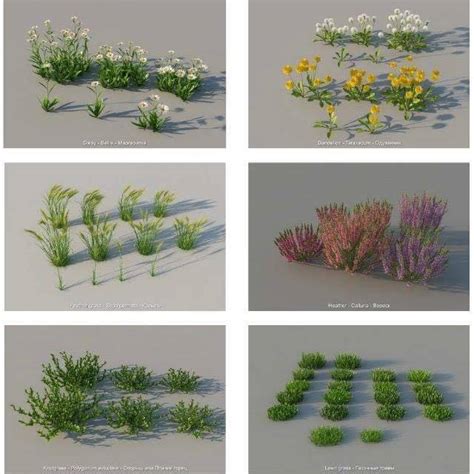 03. GRAS PLANTS FREE DOWNLOAD SKP - 3D333