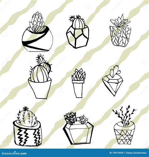 Hand Drawn Collection Of Cactus And Succulents Vector Illustra Stock