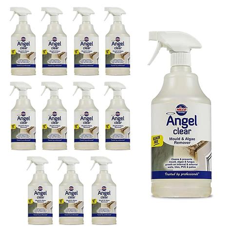 Nilco Angel Clear 12l Mould Algae Remover Cleaner Walls Tiles Pvc