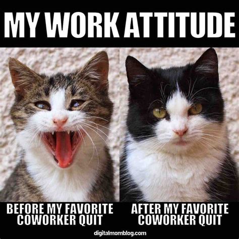 50 Funny Coworker Memes To Share With Work Friends