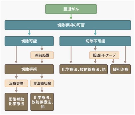 2胆道がんの治療について｜がんの先進医療｜蕗書房