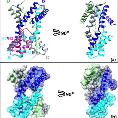 (PDF) The Structural Basis of T4 Phage Lysis Control: DNA as the Signal ...