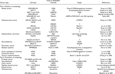 Summary Of Autophagy Modulations That Overcome Doxorubicin Resistance