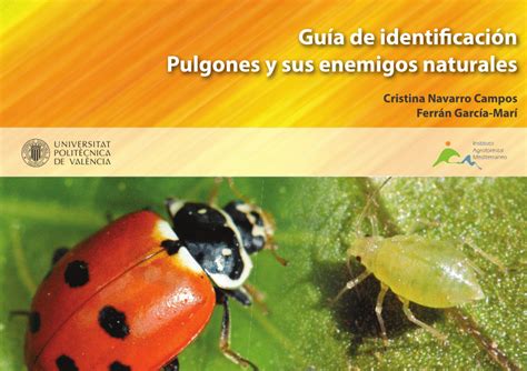 PDF Guía de identifi cación Pulgones y sus enemigos naturales