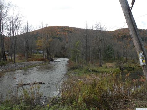 143 Acres In Schoharie County New York