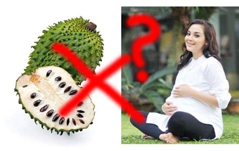 Manfaat Khasiat Jus Buah Sirsak Untuk Ibu Wanita Hamil Muda Konbos