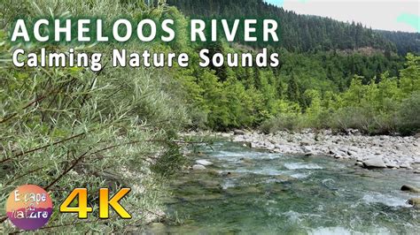 K Mountain River Calming River Forest Sounds Amazing Fir Forest