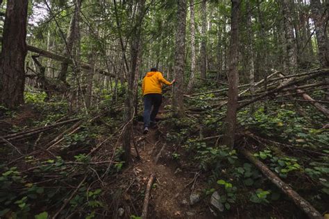 How To Hike To UPPER BANON CREEK FALLS