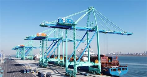 Tianjin to be world’s first zero carbon container terminal - Maritime ...