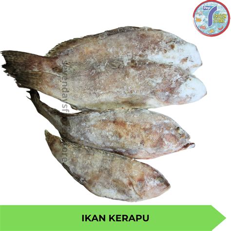 Jual Ikan Kerapu Utuh Beku Frozen Shopee Indonesia